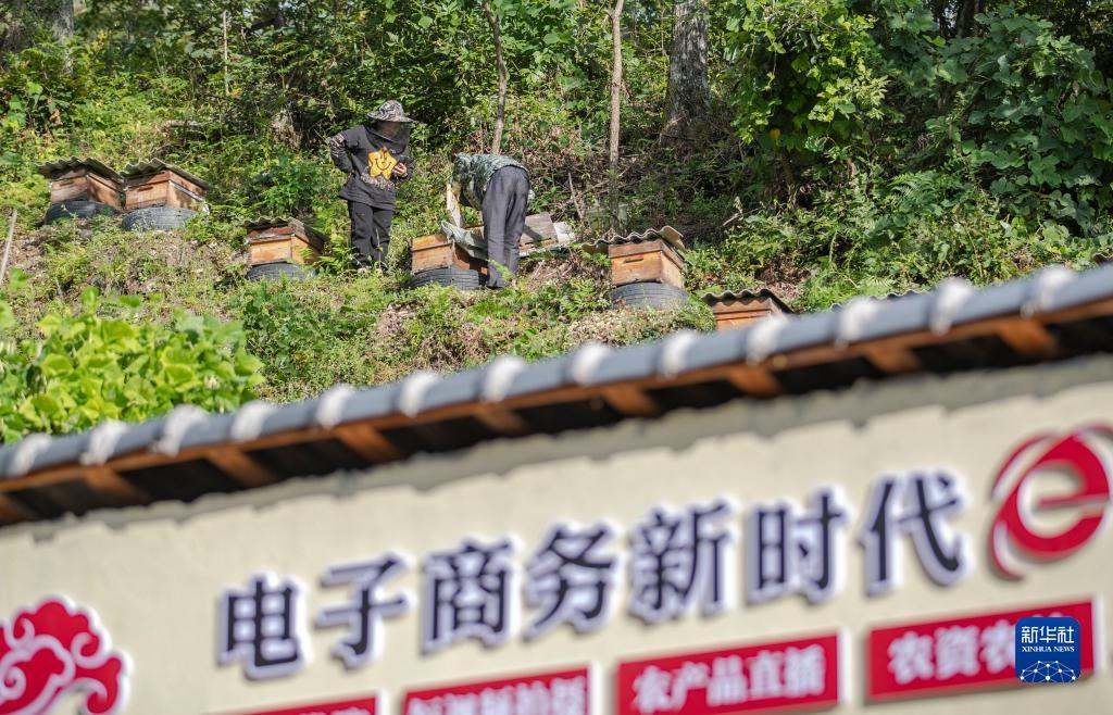 通宝tb老虎机平台